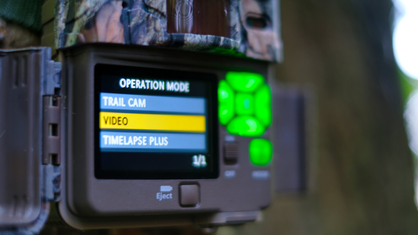 Why you Should use Video Mode on Your Trail Cams