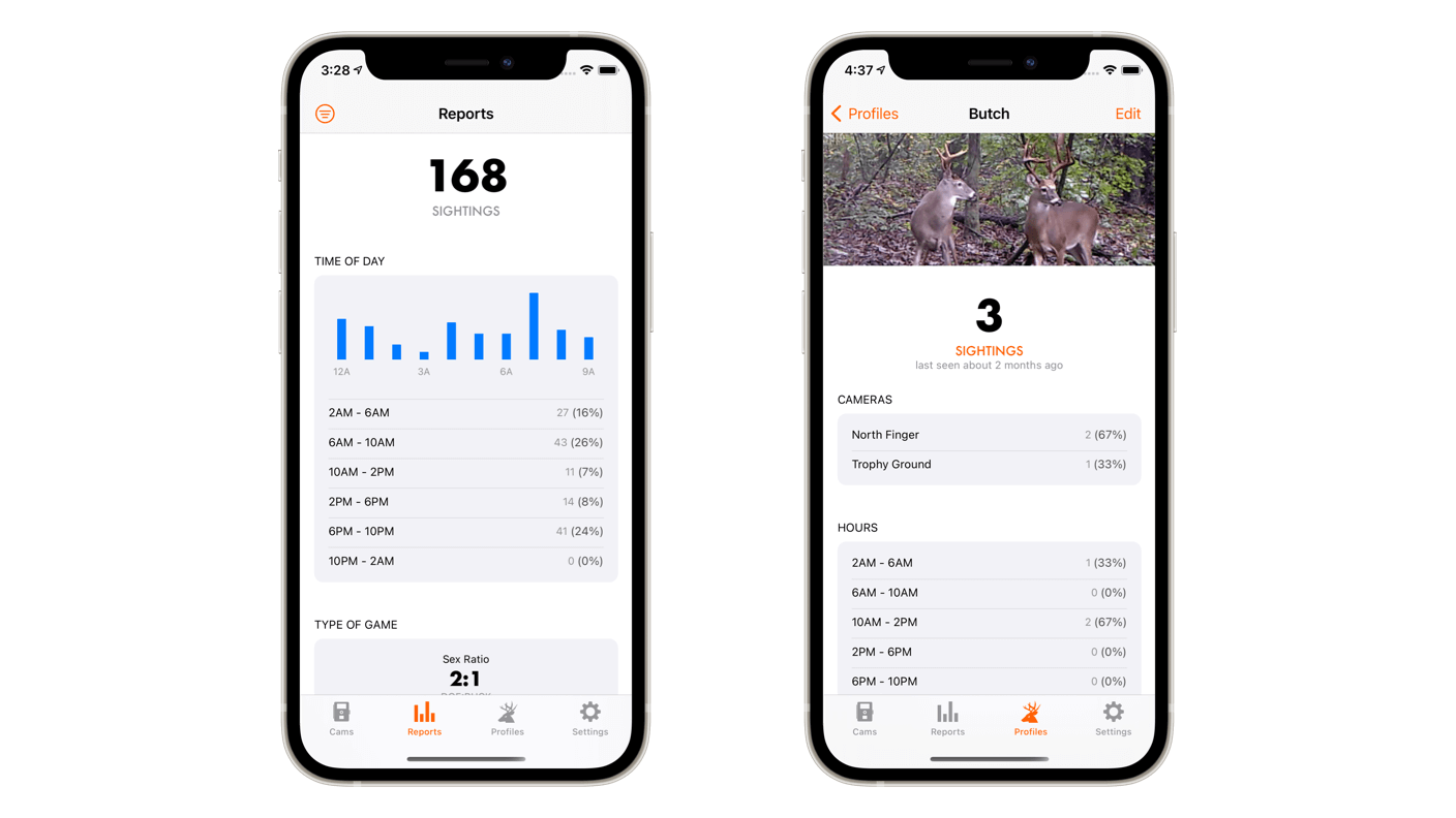 How Reports and Profiles Work